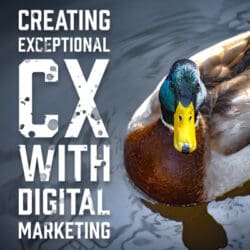 CXDigitalMarketing