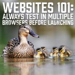 Websites101