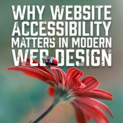 WebDesign